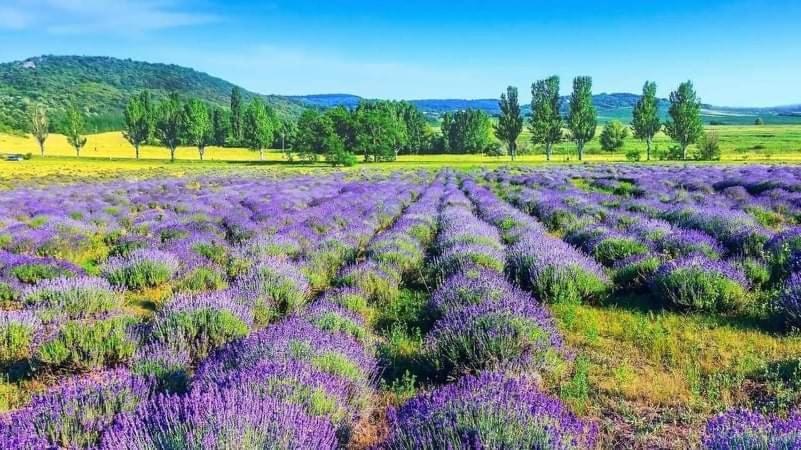 Privát, saját fürdős, erkélyes szoba a Balatonon Kőröshegy Exterior foto